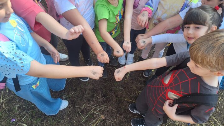 Tanto divertimento alla Mostra d’Oltremare per i bambini della Scuola Primaria dell’Istituto Montessori