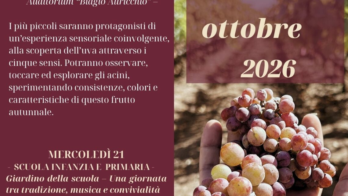 Chicchi di gioia: la nostra vendemmia