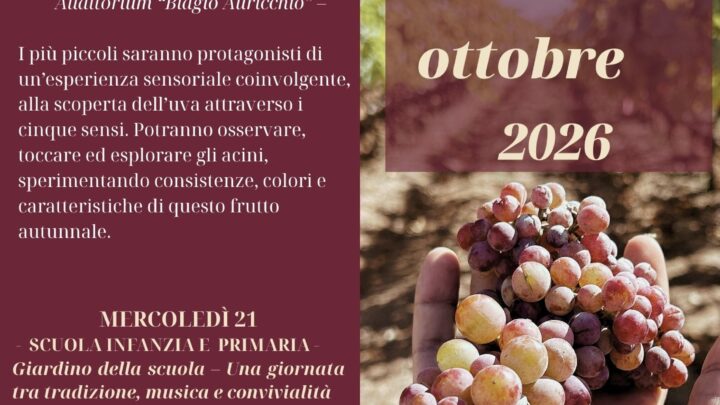 Chicchi di gioia: la nostra vendemmia